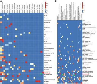 Systematic Exploration in Tissue-Pathway Associations of Complex Traits Using Comprehensive eQTLs Catalog